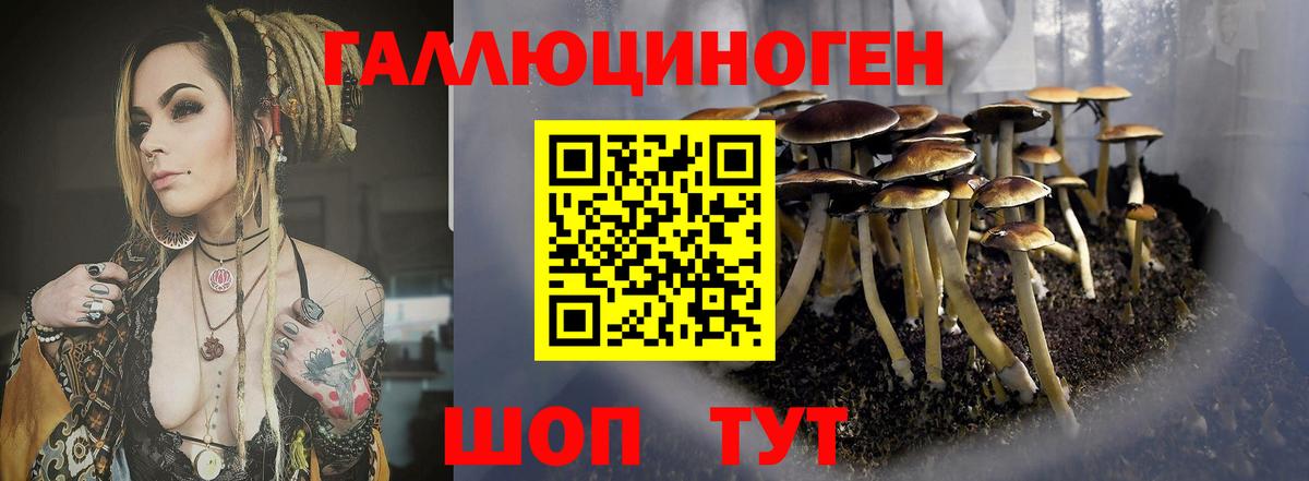 Ступино  Галлюциногенные грибы Psilocybe  купить наркотики сайты  Галлюциногенные грибы ЛСД  Вход с VPN 